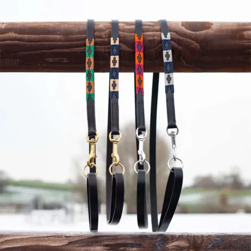 HFI, HFI Hundeleine im PoloDesign