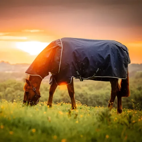 Horseware, Horseware Amigo Ripstop 900D Plus 200g