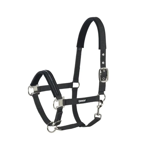 Eskadron, Eskadron Classic Sports Halfter mit Dornschnalle
