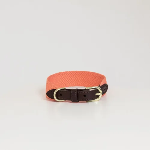 Kentucky Dogwear, Kentucky Dogwear Jacquard Hundehalsband