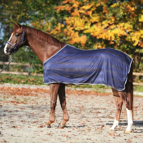 Kavalkade Stripe Fliegendecke