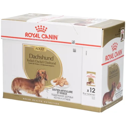 Royal Canin Breed, Royal Canin Dachshund Mousse - 12 x 85 g