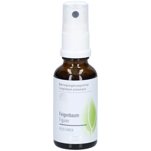 PHYTOMED, Phytomed Knospenextrakt Feigenbaum Spray (30ml)