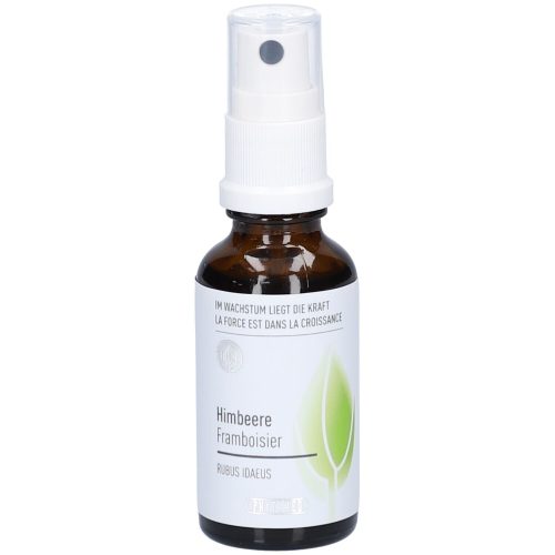PHYTOMED, Phytomed Knospenextrakt Himbeere Spray (30ml)