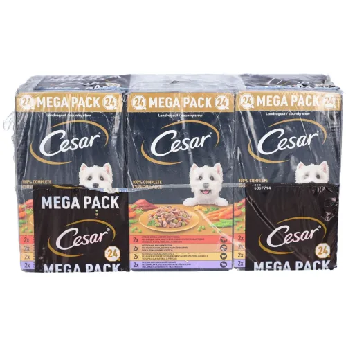 Cesar Mega Pack - Ländliche Eintopfgerichte für erwachsene Hunde