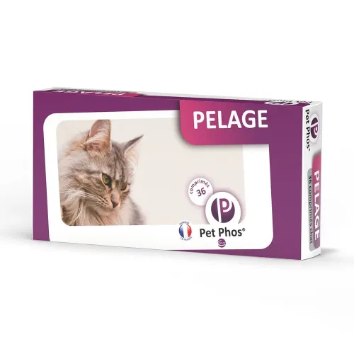 PET - phos pelage chat