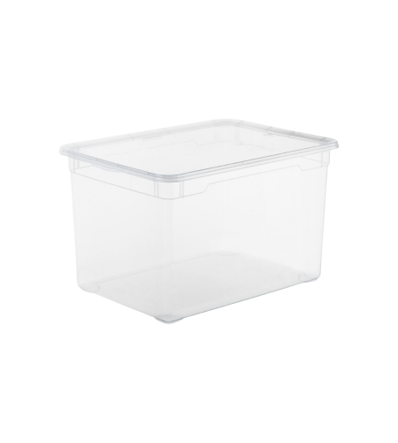 Rotho, ROTHO Clear Box 46l 1415000096WS transparent