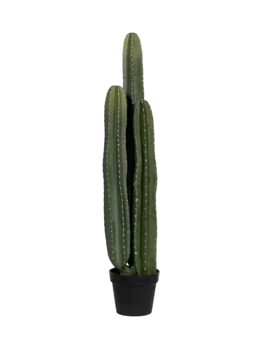 Baq Design, Lebensechte Kunstpflanze „Monstera Pertusum“ Höhe 140 cm Baq Design