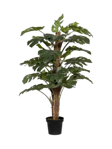 Lebensechte Kunstpflanze „Monstera Pertusum“ Höhe 140 cm Baq Design