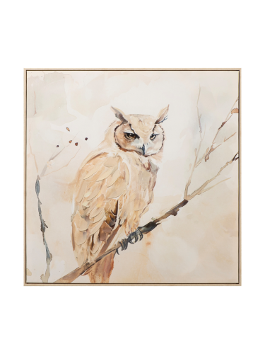 image LAND, image LAND Bild Natural Owl  | Schubiger Möbel