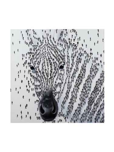 image LAND, image LAND Bild Zebra H: 115 cm  | Schubiger Möbel