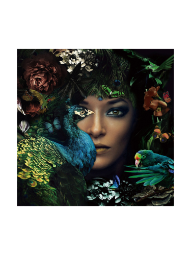 image LAND, image LAND Digitaldruck auf Glas Die Lady und Der Pfau  | Schubiger Möbel