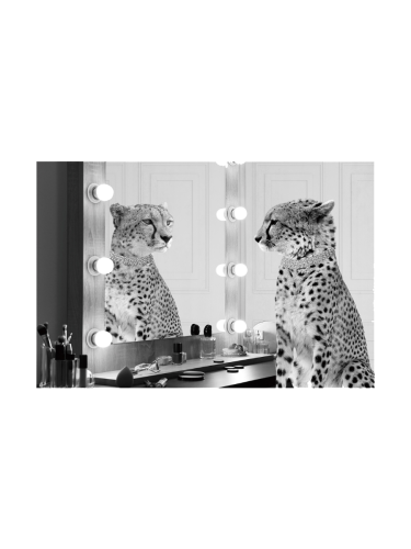 image LAND, image LAND Glasbild Gepard Starlet  | Schubiger Möbel