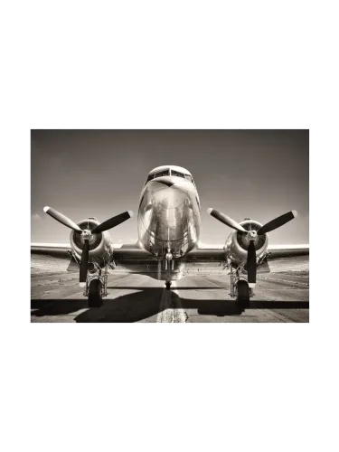 image LAND, image LAND Digitaldruck auf Glas Flugzeug 2  | Schubiger Möbel