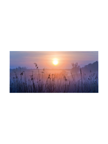 image LAND, image LAND Digitaldruck auf Glas Sonnenaufgang im Nebel  | Schubiger Möbel