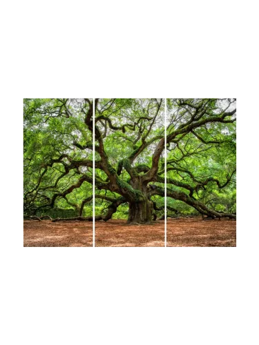 image LAND, image LAND Digitaldruck auf Glas Verzweigter Baum  | Schubiger Möbel