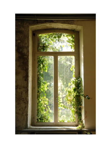 image LAND, image LAND Digitaldruck auf Acrylglas Fenster mit Laub 2  | Schubiger Möbel