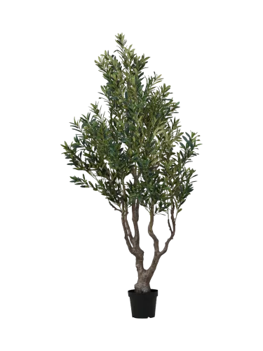 House Nordic, Künstliche Pflanze OLIVE