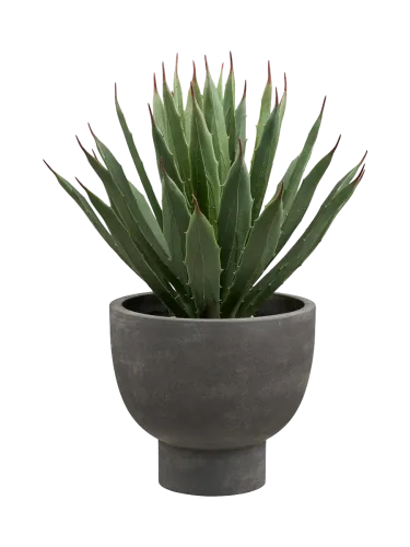 House Nordic, Künstliche Pflanze AGAVE