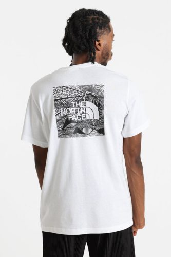 The North Face, The North Face Herren Box Nse Celebration T-Shirt