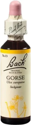 Original Bach Blüten, BACH-BL&Uuml;TEN Original Gorse No13 20 ml