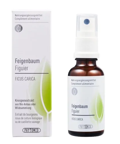 Phytomed Knospenextrakt Feigenbaum Spray (30ml)