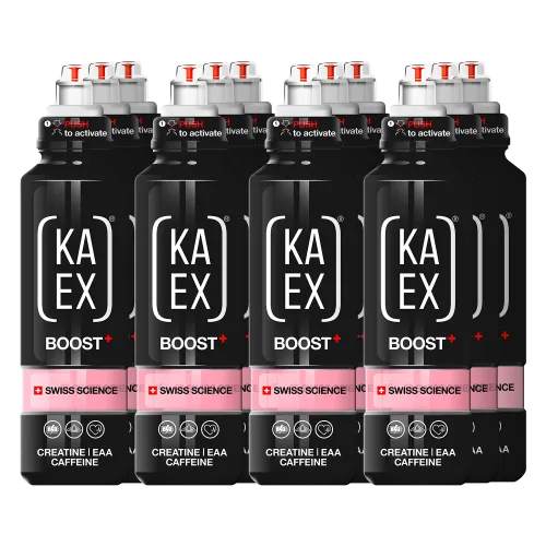 KA-EX, KA-EX GO EAA+ CREATINE BOOSTER (12x460ml)