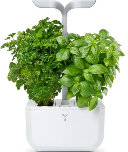 VÉRITABLE, VÉRITABLE SMART Indoor-Gemüsegarten Weiss