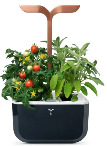 VÉRITABLE, VÉRITABLE SMART Indoor-Gemüsegarten Schwarz