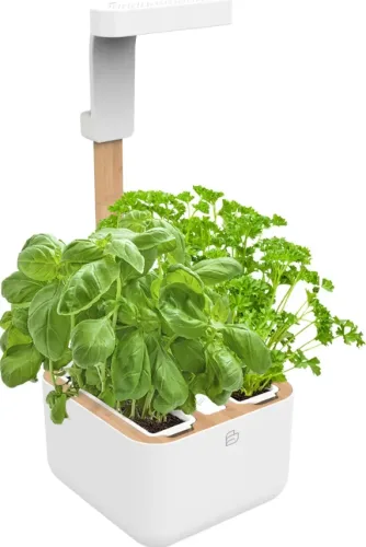VÉRITABLE, VÉRITABLE EYLO Indoor-Gemüsegarten Weiss