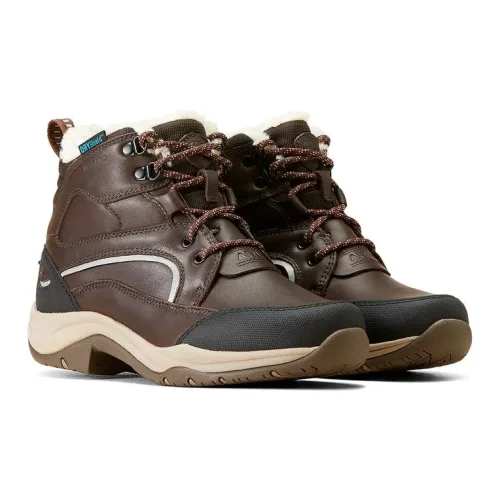 Ariat, Ariat Arbeitsschuh Telluride Winter Waterproof Damen - Dark Brown -  Schuhgrösse: 38