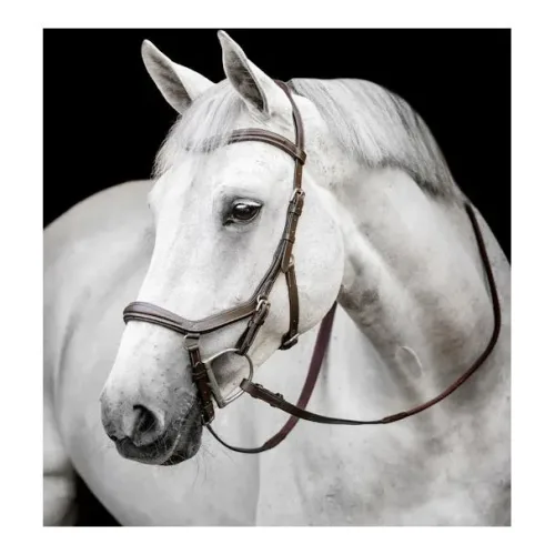 Horseware, Horseware Zaum Micklem Deluxe - Dark Havana -  Grösse Pferd: Cob