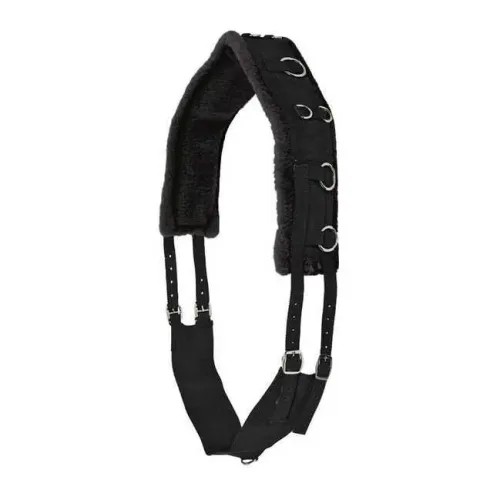 Waldhausen, Waldhausen Longiergurt Soft - Schwarz -  Grösse Pferd: WB