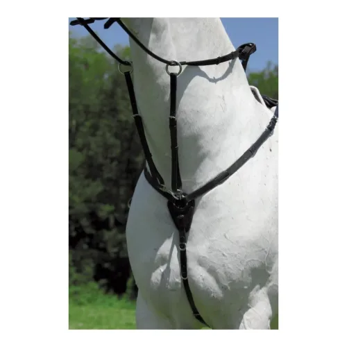 Waldhausen, Waldhausen Vorderzeug - schwarz Grösse Pferd: Pony