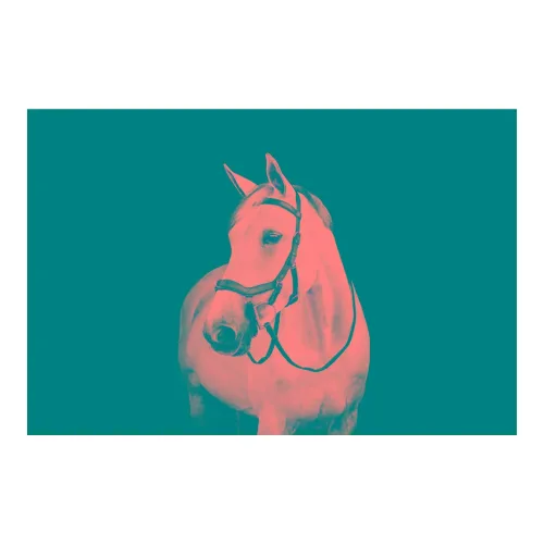 Horseware, Horseware Zaum Micklem Multi - Schwarz -  Grösse Pferd: Full