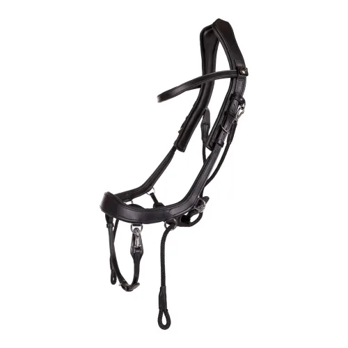 PresTeq, PresTeq Gebisslose Trense FaySport - Schwarz -  Farbe: Schwarz, Grösse: Cob