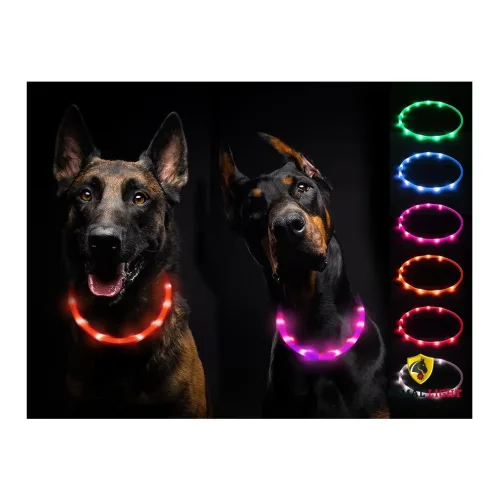 Animal Light, Animal Light Leucht-Hundehalsband Flex - Orange -  Grösse: 70 cm, Farbe: Orange