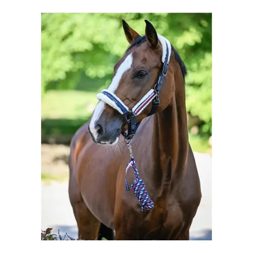 Tommy Hilfiger Equestrian, Tommy Hilfiger Equestrian Halfter Set Yale mit Strick Grösse: Cob