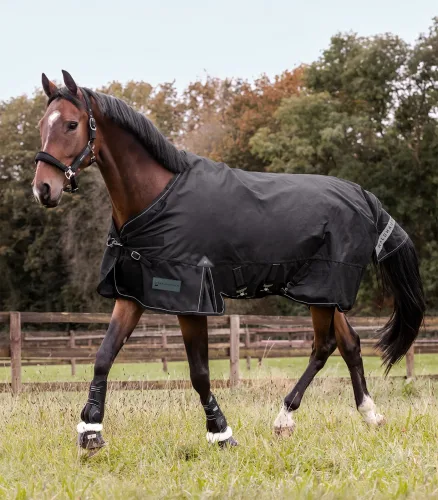 Waldhausen, Waldhausen Outdoordecke Scandic, 50g - Schwarz -  Farbe: Schwarz, Grösse Pferdedecken: 135 cm