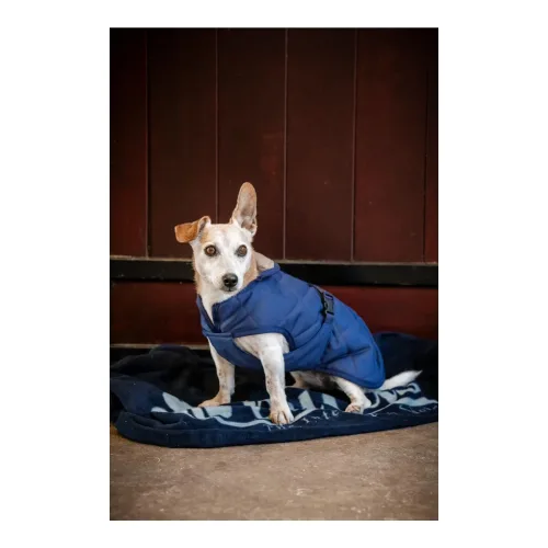 Bucas, Bucas Hundedecke  Freedom Cosy - Navy -  Grösse Hundedecke: 30 cm