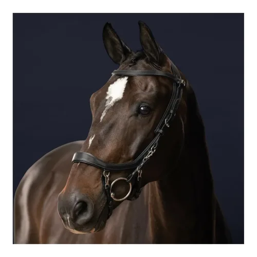 PresTeq, PresTeq Zaum FaySport - schwarz Farbe: Schwarz, Grösse Zaum: Pony