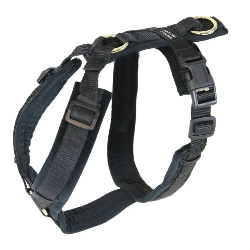 Kentucky Dogwear, Kentucky Dogwear Hundegeschirr Active Velvet