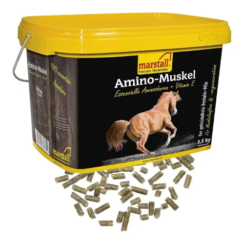Marstall, Marstall Amino Muskel Plus - Schwarz-Gelb -  Inhalt: 3,5 kg