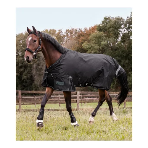 Waldhausen, Waldhausen Outdoordecke Scandic, 100g - Schwarz -  Grösse Pferdedecken: 145 cm, Farbe: Schwarz