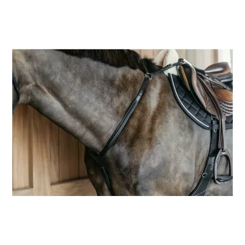 Dyon, Vorderzeug geflochten Working by Dy'on - Schwarz -  Grösse: Pony, Farbe: Schwarz