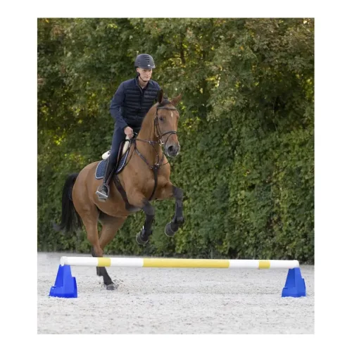 Waldhausen, Waldhausen Cavaletti-Block - Blau -  Grösse: 30 x 30 x 35 cm, Farbe: Blau