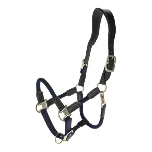 Covalliero, Covalliero Halfter Cordano Deluxe F/S 2026 - Dunkelblau -  Grösse: Pony