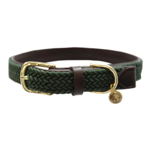 Kentucky Dogwear, Kentucky Dogwear Hundehalsband Nylon geflochten - olive green