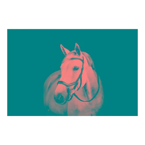 Horseware, Horseware Zaum Micklem Diamante - Schwarz -  Grösse Pferd: Pony
