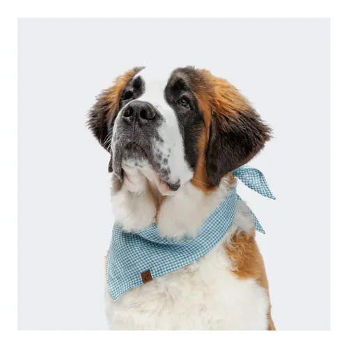 Cloud 7, Cloud 7 Hundehalstuch Bandana Mini Check - Blue -  Grösse: S
